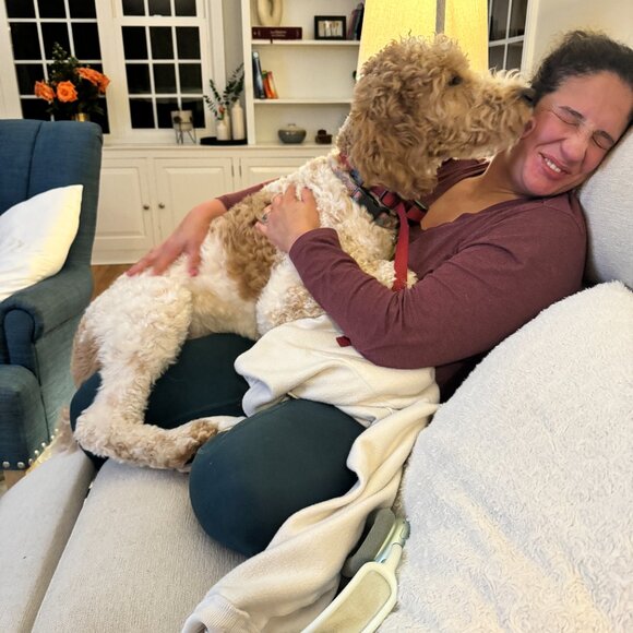 LIVE SHOW FLYER - Picture 15 of 16